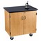 National Public Seating NPSMobile Sci Cabinet Blk Laminate Top MSC2436 - alternate 5